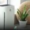 India’s Air Purifier Boom: A Response to Escalating Pollution