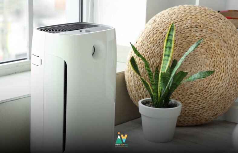 India’s Air Purifier Boom: A Response to Escalating Pollution